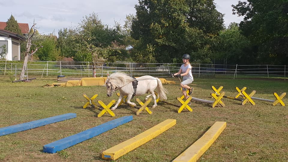 pony1.jpg pony1.jpg
