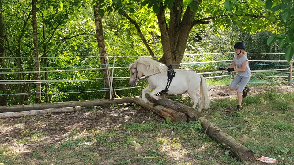 pony2.jpg pony2.jpg