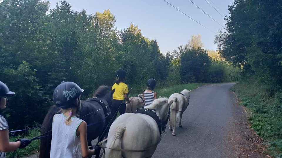 pony4.jpg pony4.jpg
