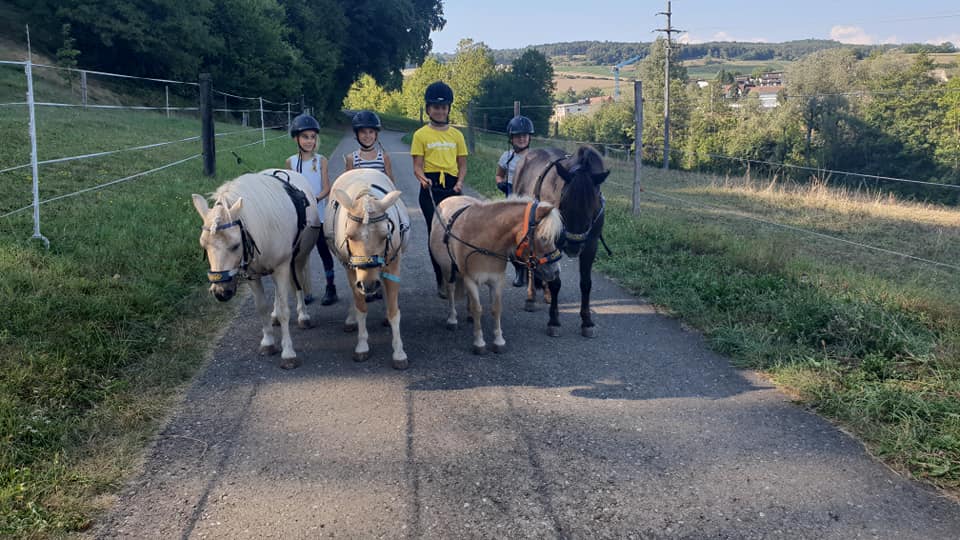 pony5.jpg pony5.jpg