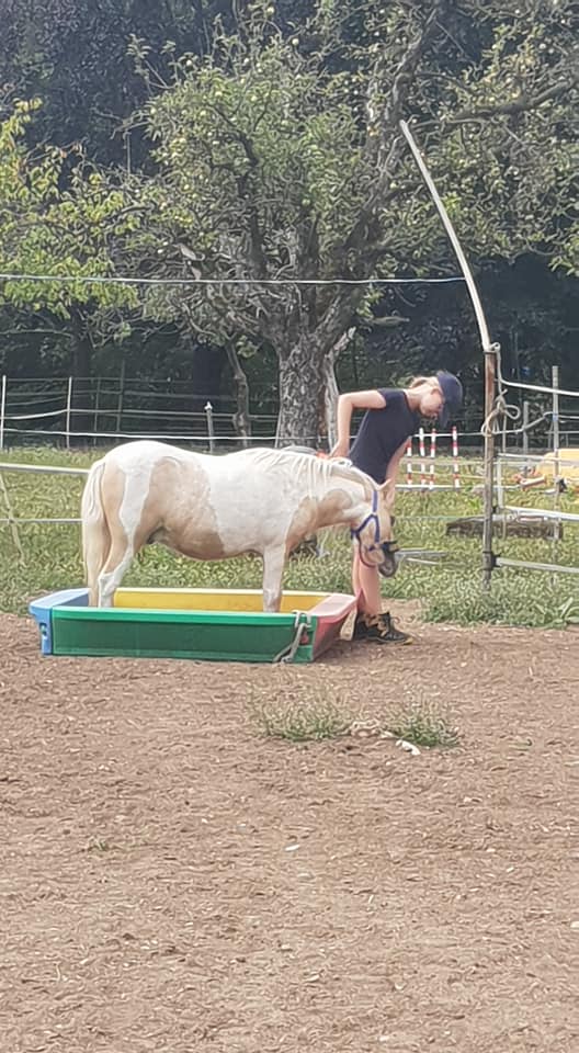 pony6.jpg pony6.jpg