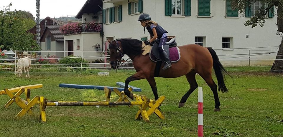 reiten1.jpg