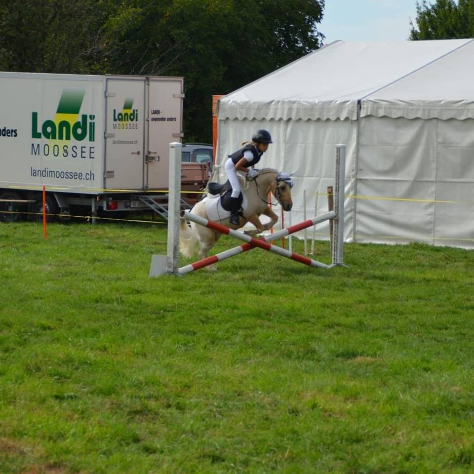 reiten10.jpg