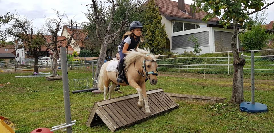 reiten3.jpg