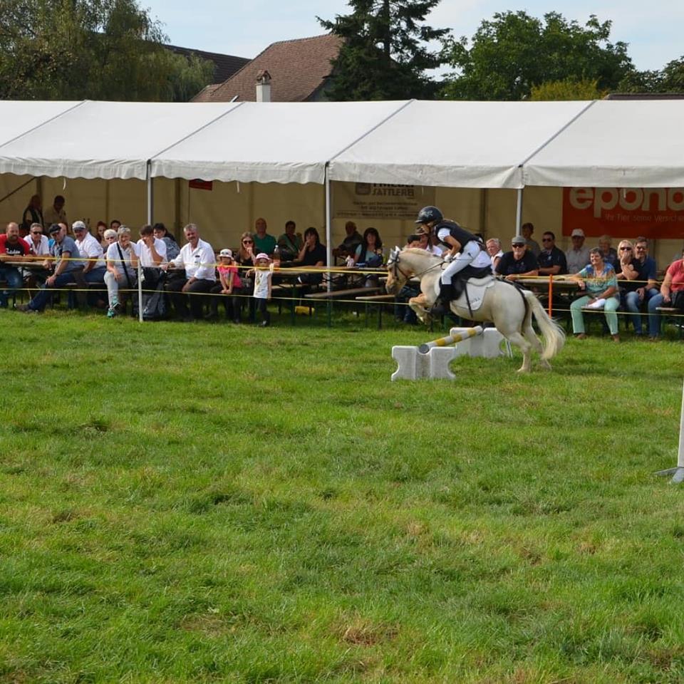 reiten9.jpg